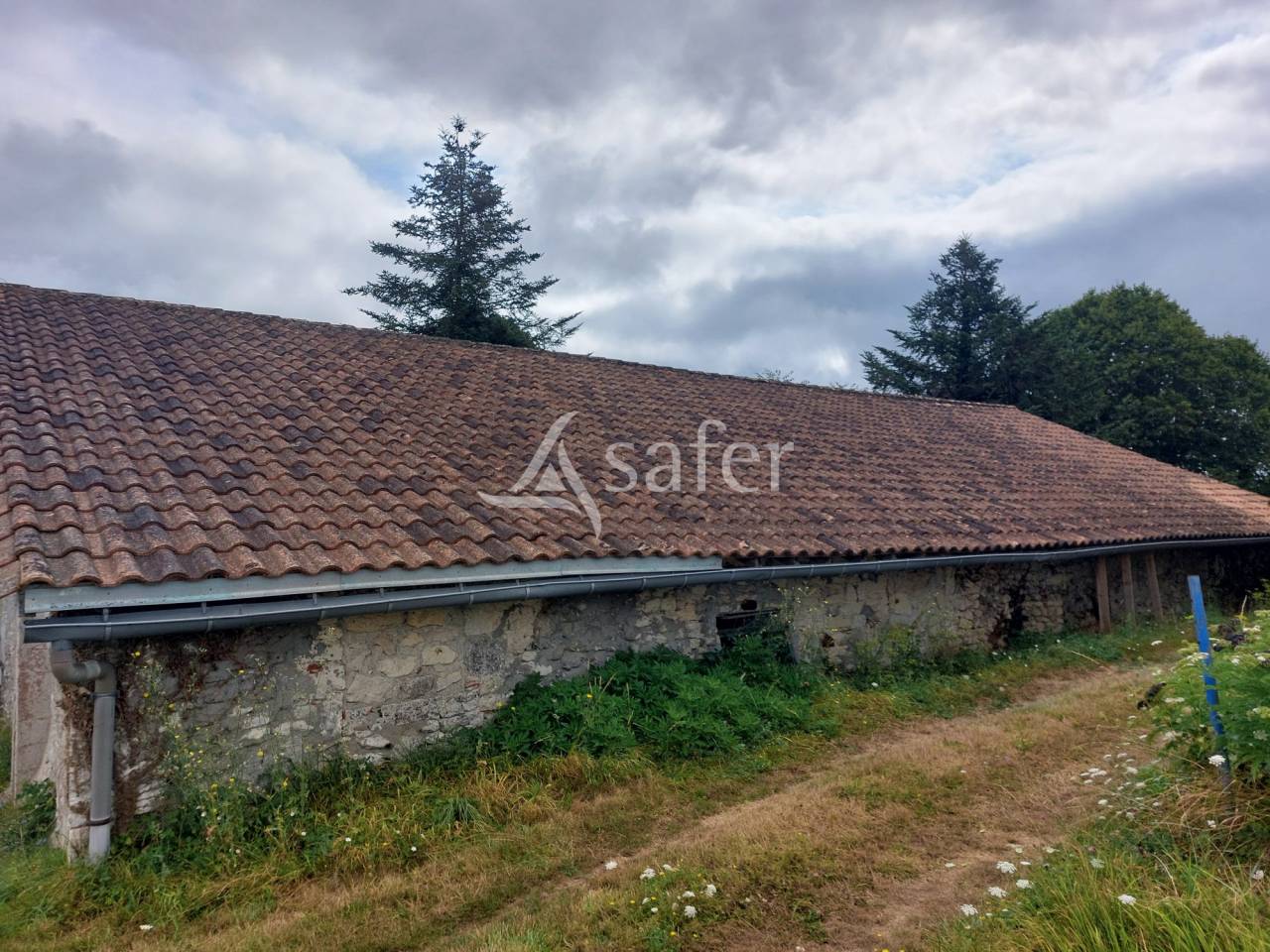 Sheep farm  Dordogne