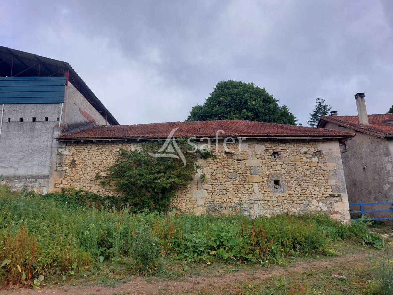 Sheep farm  Dordogne