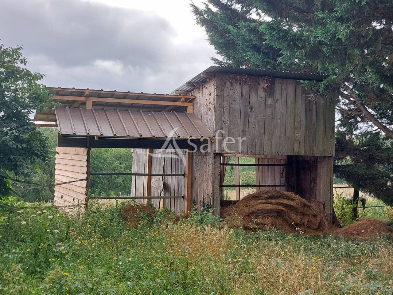 Sheep farm  Dordogne