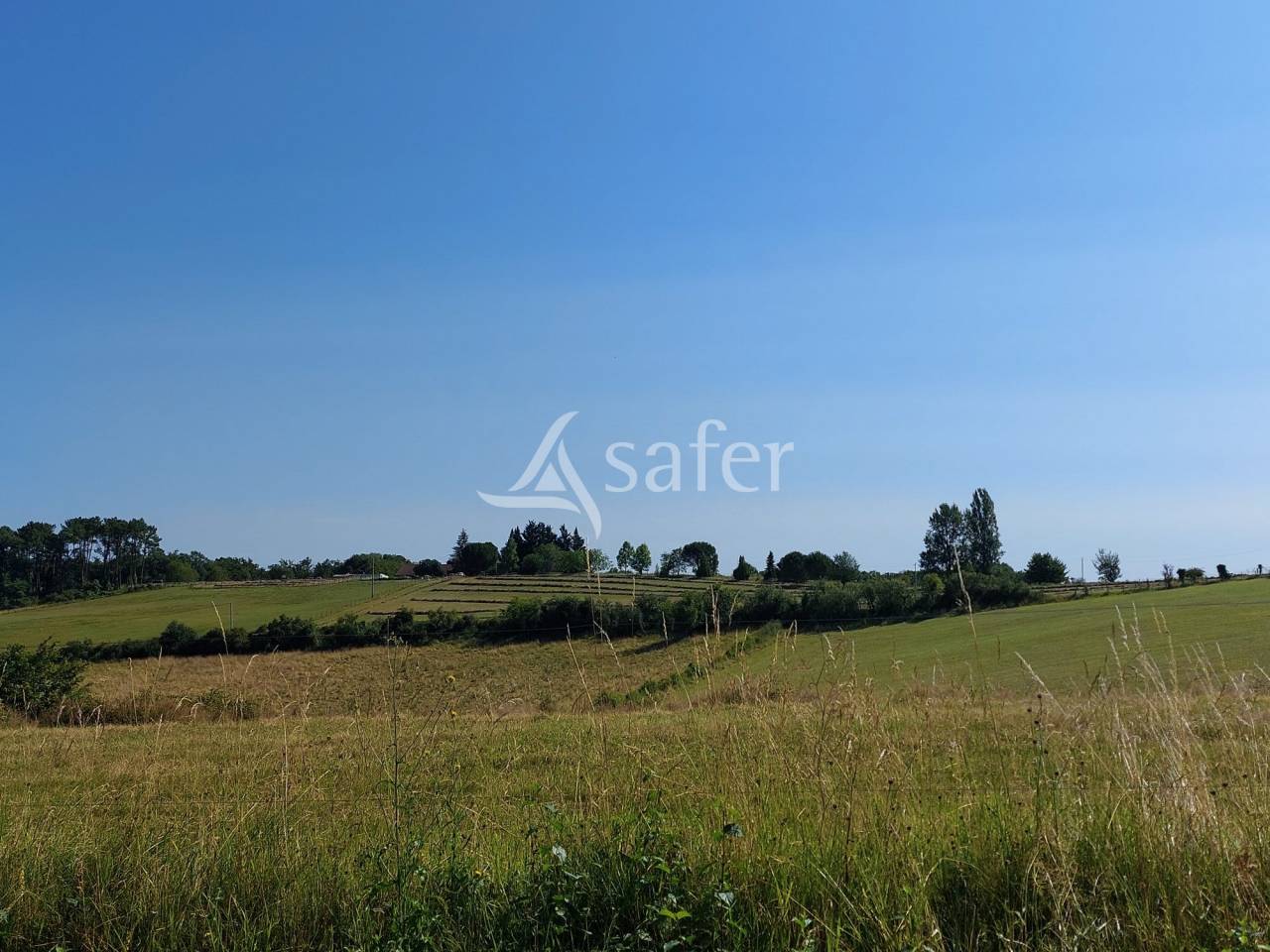 Sheep farm  Dordogne