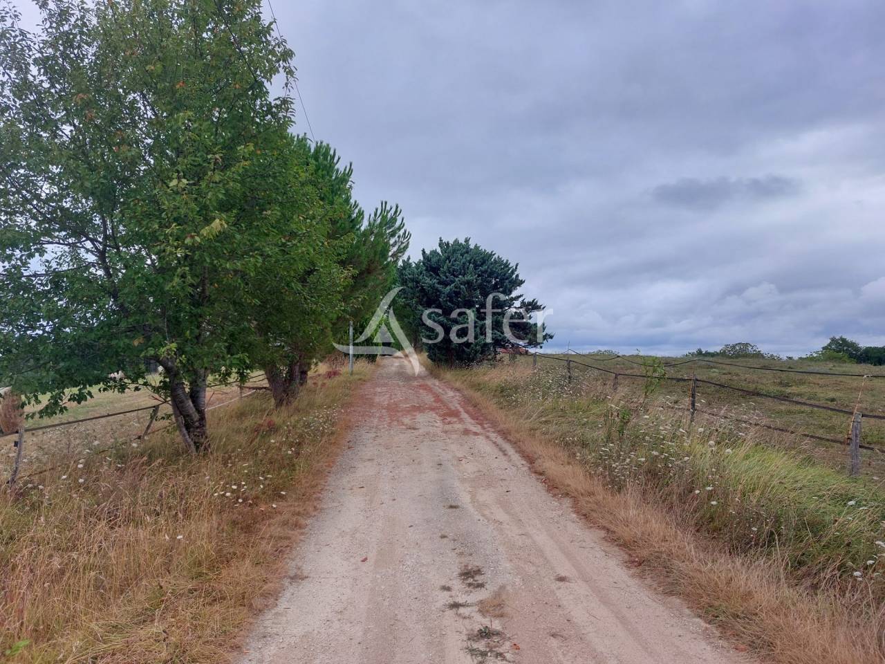Sheep farm  Dordogne