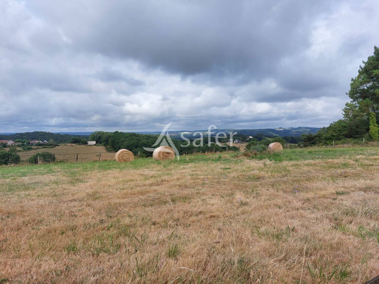 Sheep farm  Dordogne