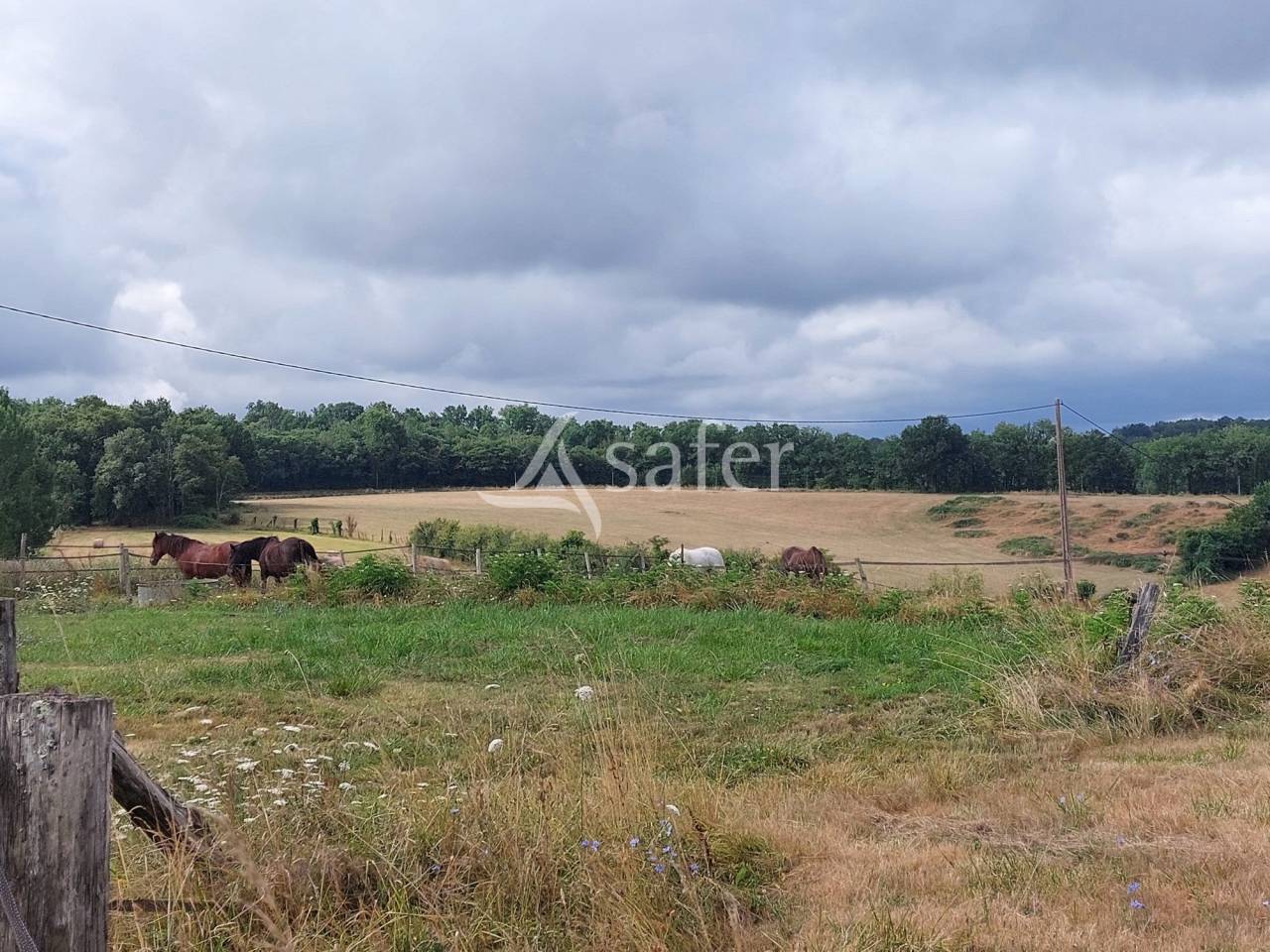 Sheep farm  Dordogne