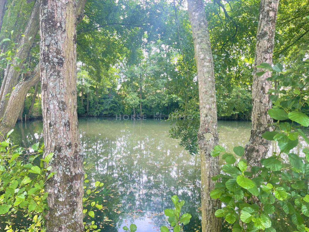 Equestrian property  Indre-et-Loire