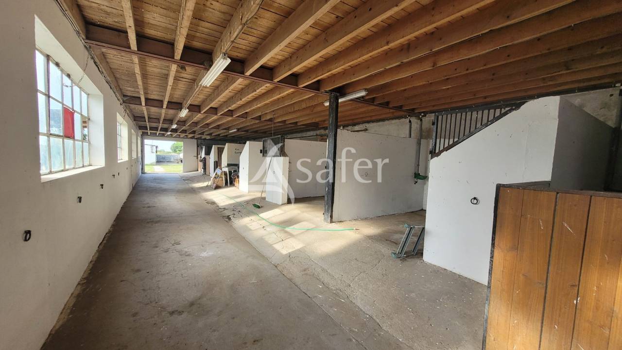 Equestrian property  Allier