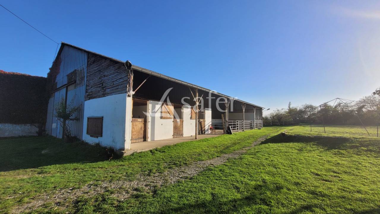 Equestrian property  Allier