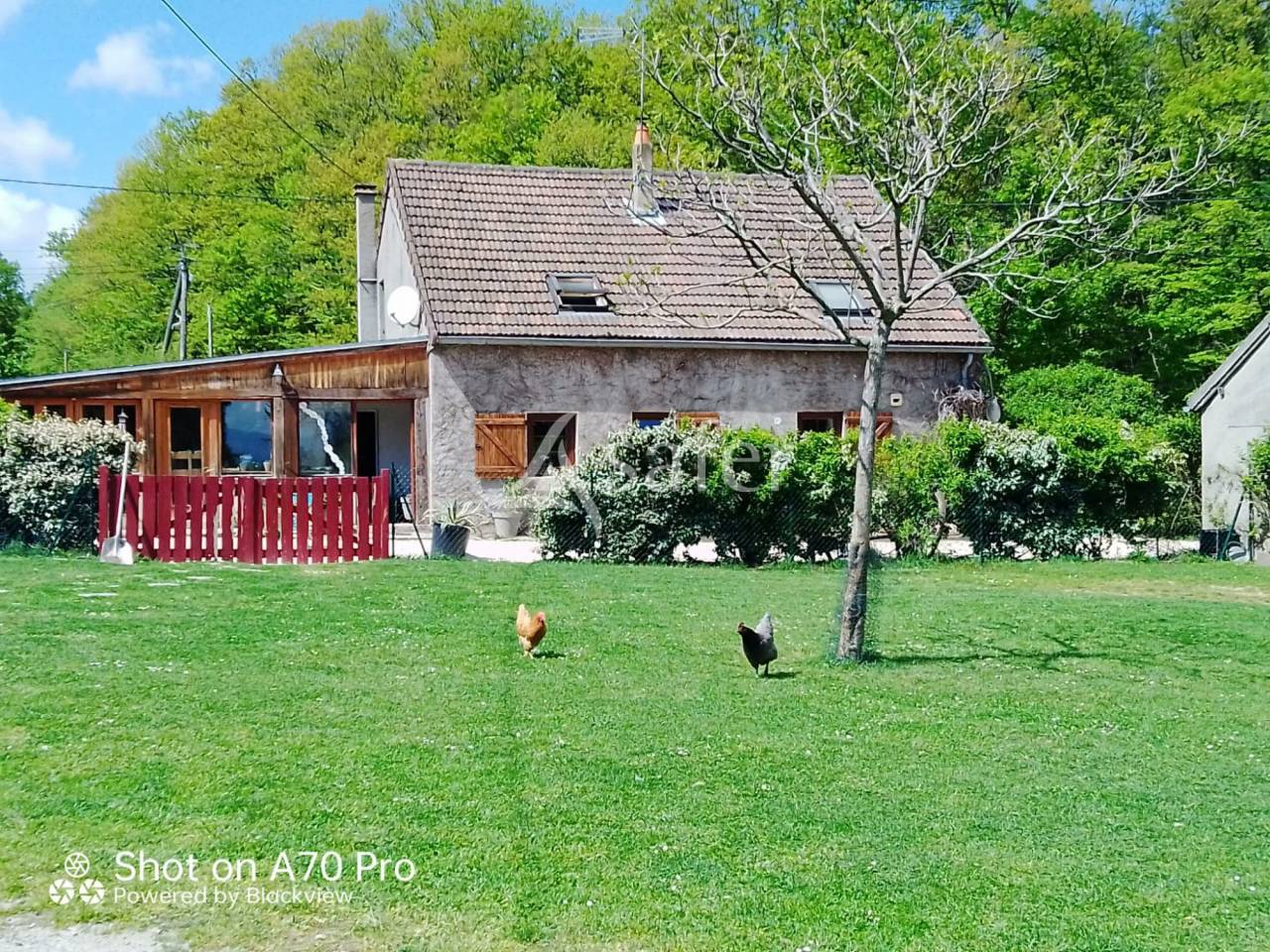 Equestrian property  Allier