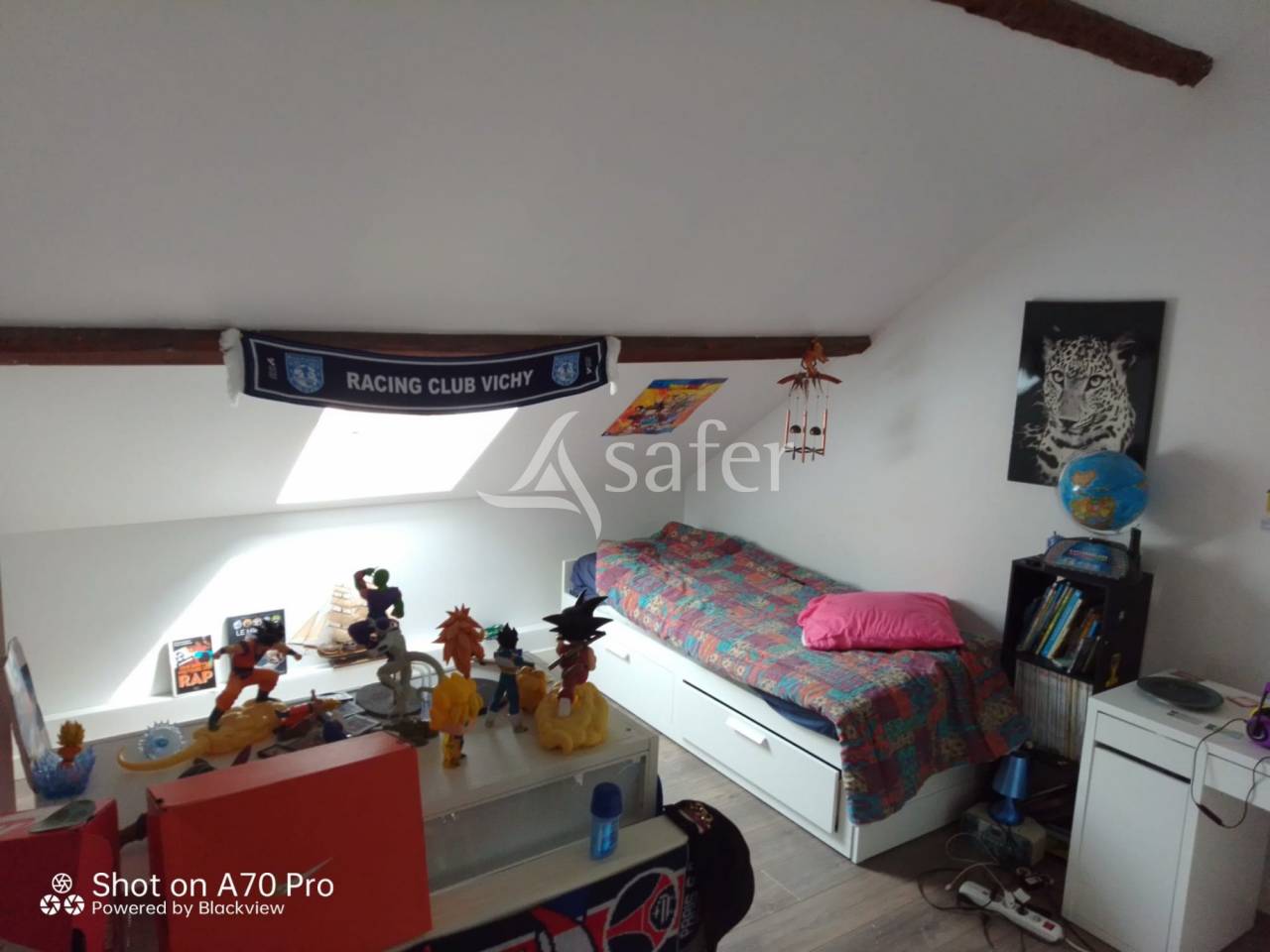 Equestrian property  Allier
