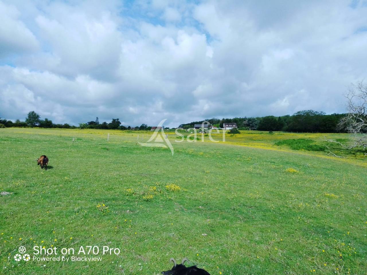 Equestrian property  Allier