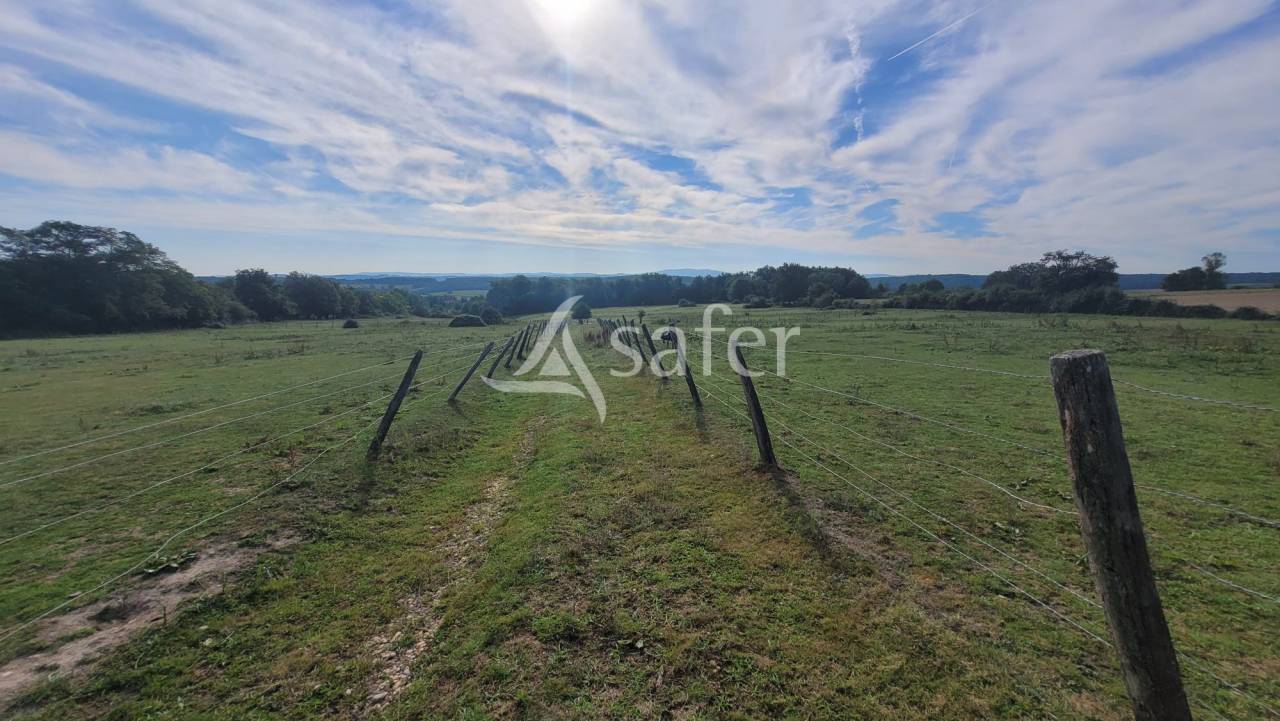 Equestrian property  Allier