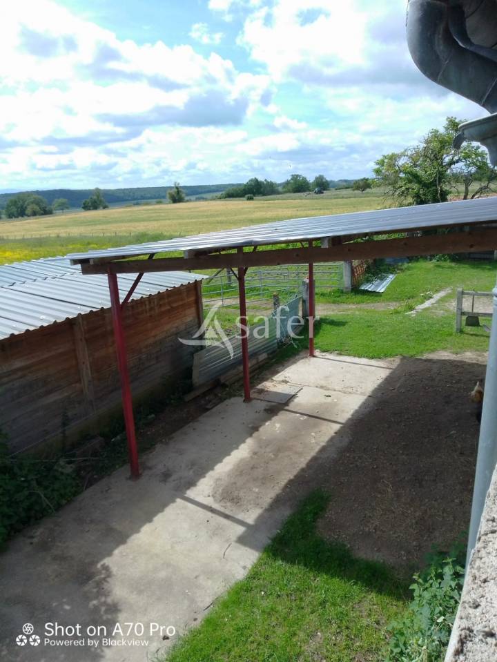 Equestrian property  Allier