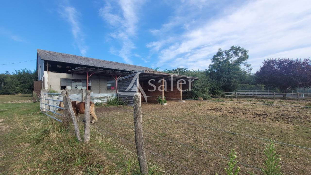Equestrian property  Allier