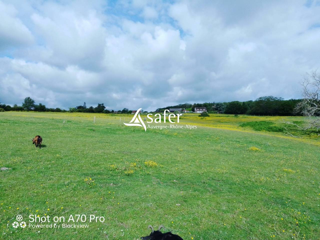 Equestrian property  Allier