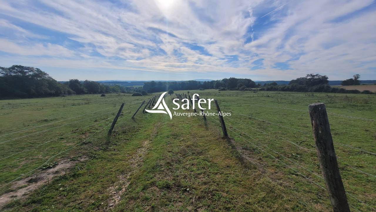 Equestrian property  Allier