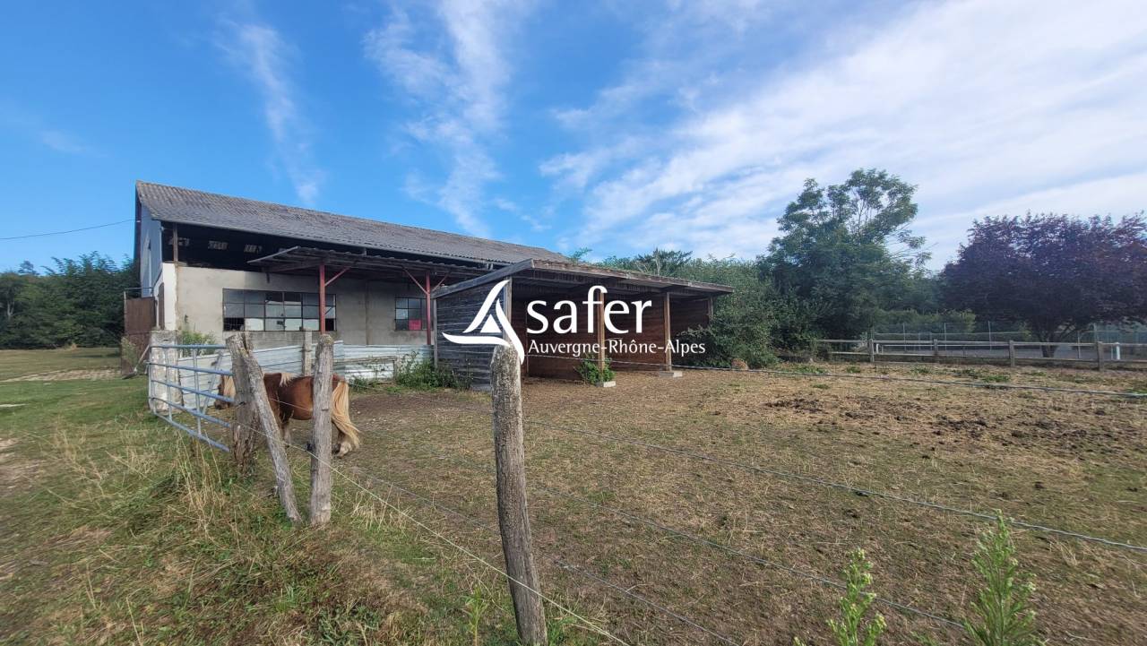 Equestrian property  Allier