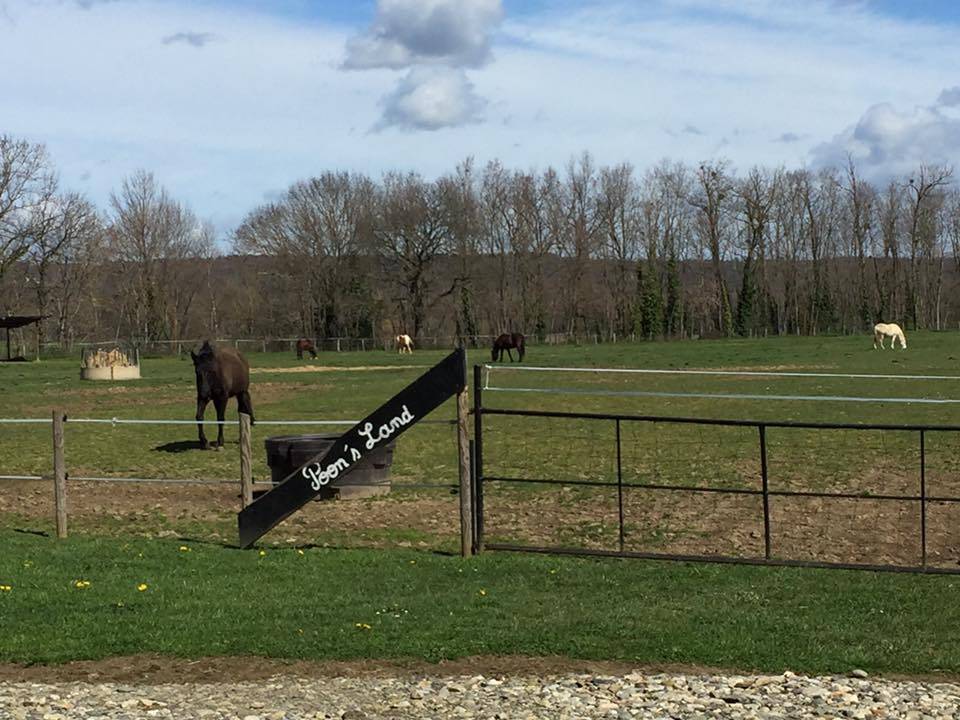 Riding school  Haute-Garonne