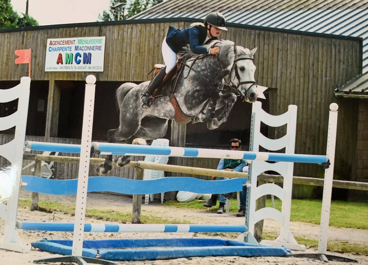 Mare French Saddle Pony For loan 2015 Chesnut