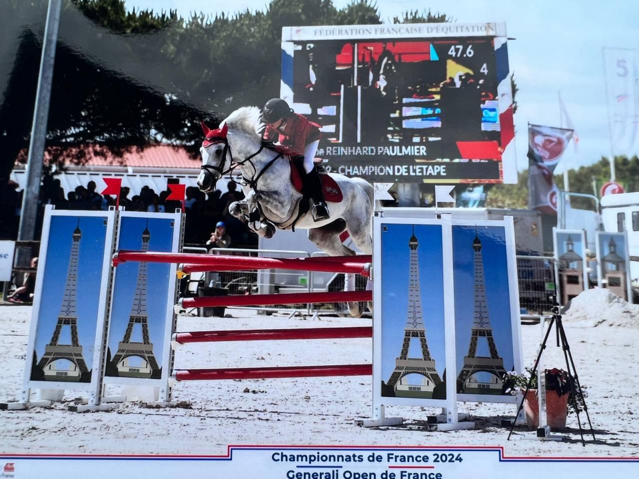 Stallion Dutch Riding Pony For loan 2012 Grey