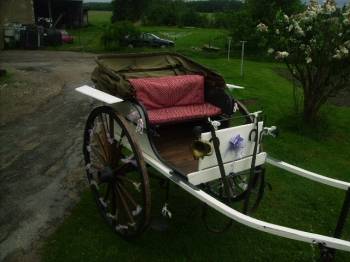 Carriage - Calèche Fenix Carriages  