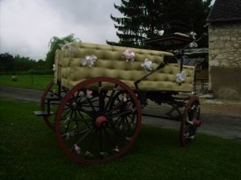 Carriage - Calèche Fenix Carriages  