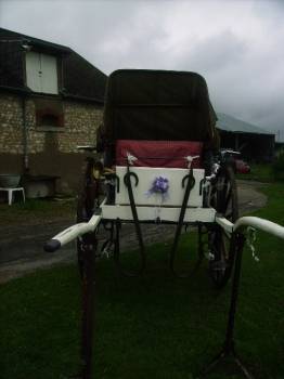 Carriage - Calèche Fenix Carriages  