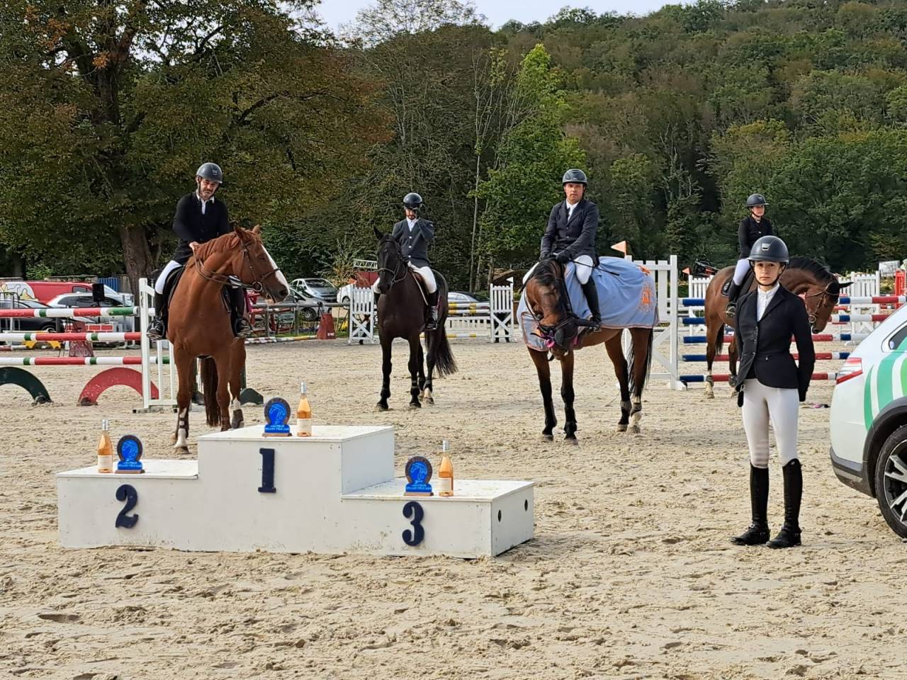 Gelding Selle Fran&ccedil;ais For sale 2012 Bay