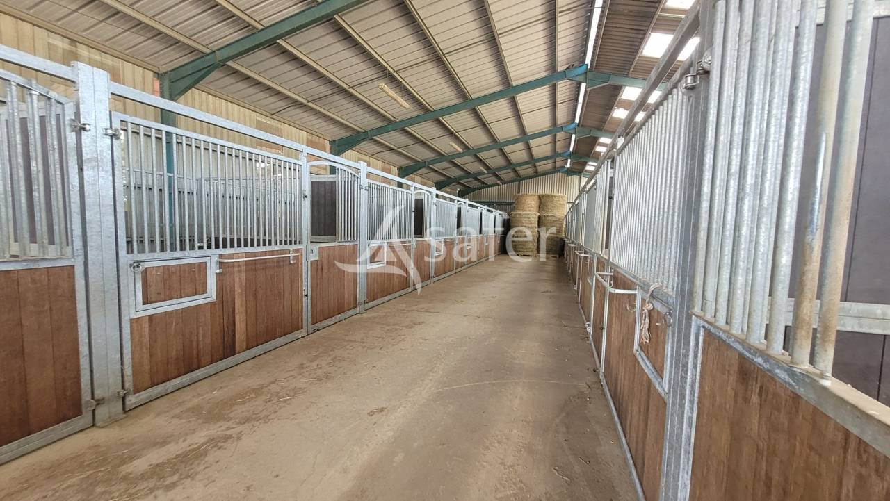 Equestrian property  Allier
