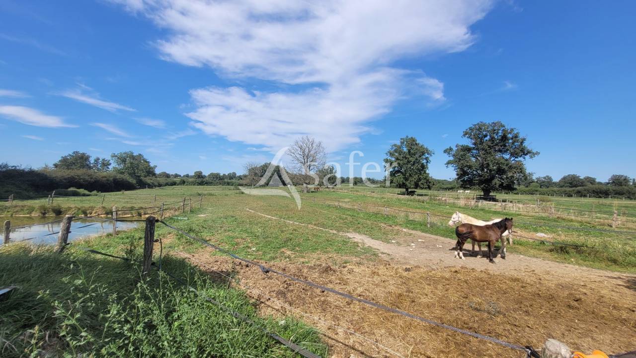 Equestrian property  Allier