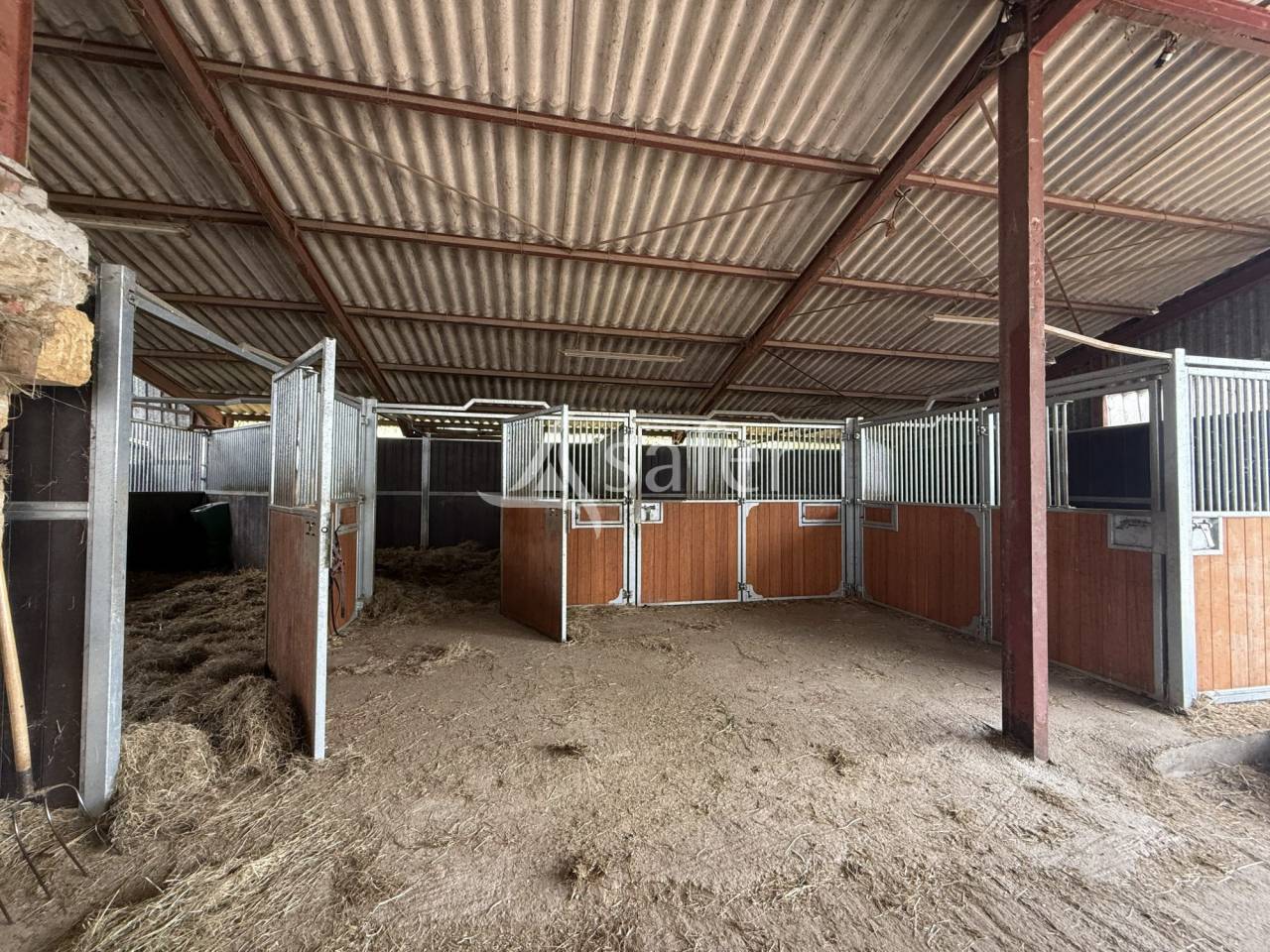 Equestrian property  Allier