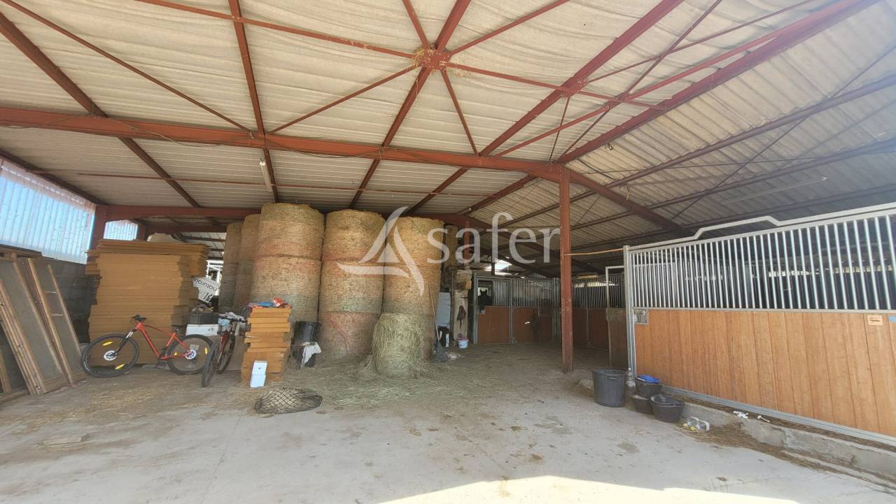 Equestrian property  Allier