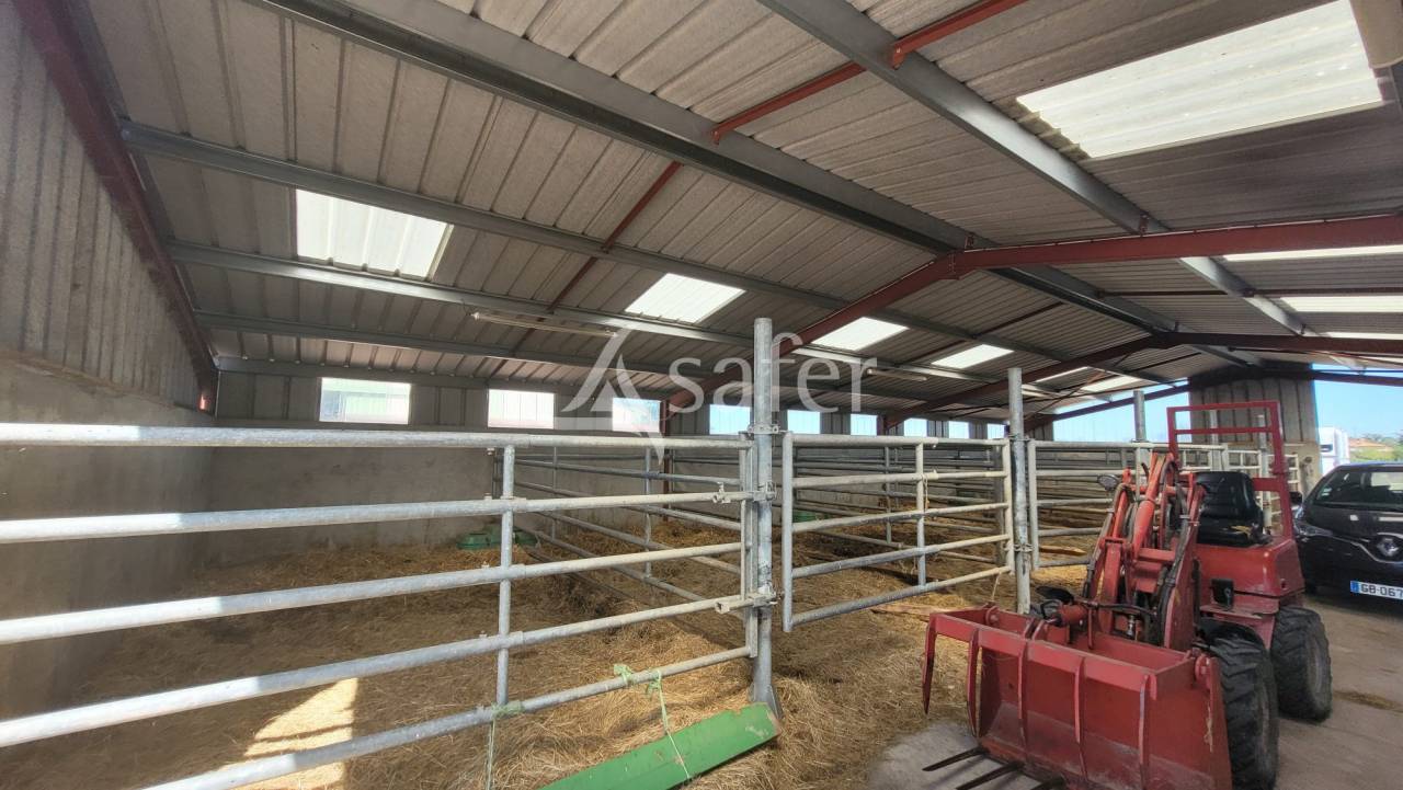 Equestrian property  Allier