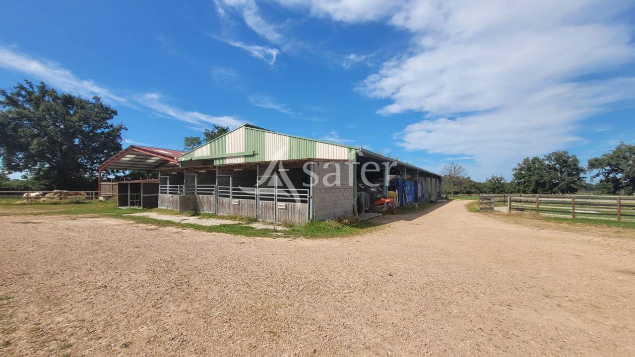 Equestrian property  Allier
