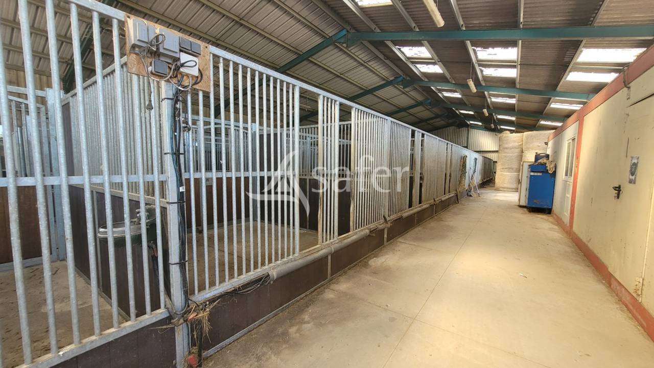 Equestrian property  Allier