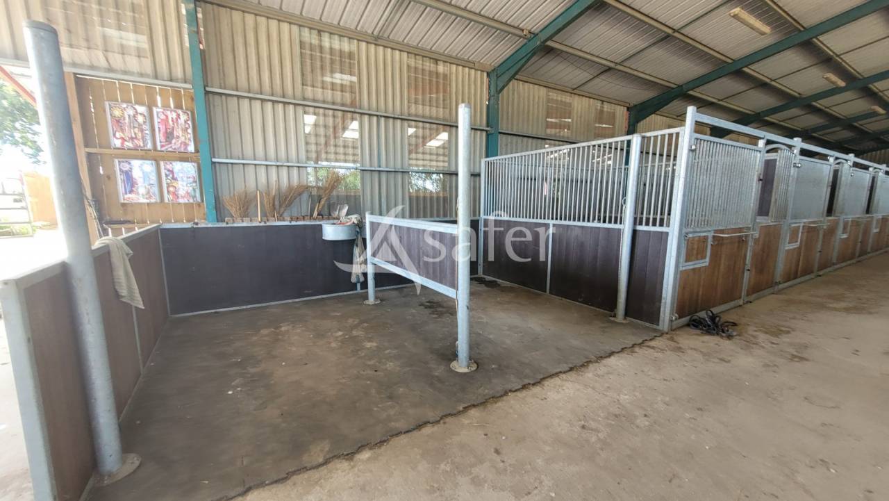 Equestrian property  Allier