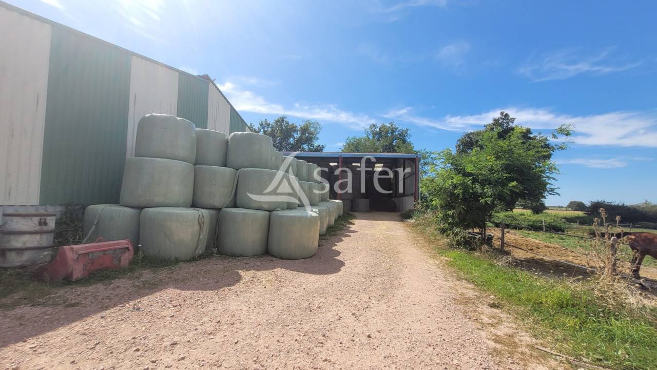 Equestrian property  Allier