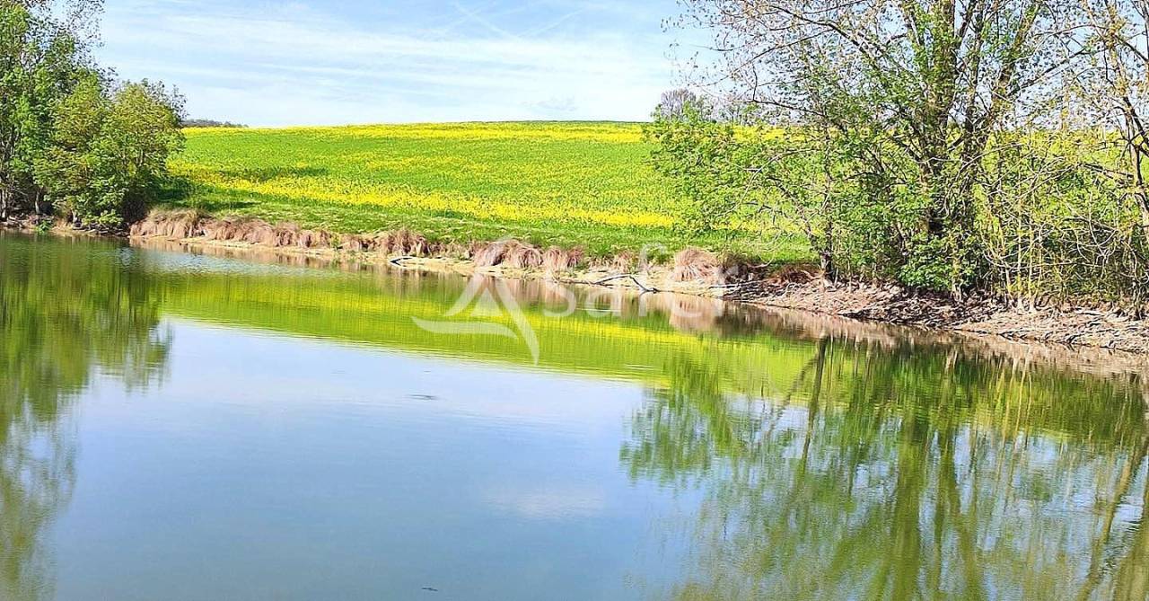 Grain farm  Tarn-et-Taronne