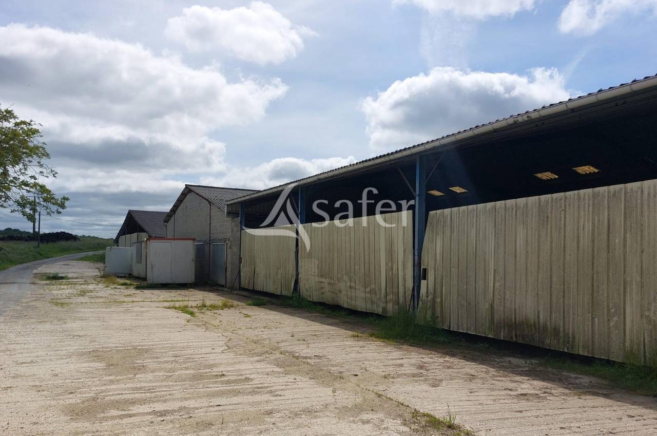 Sheep farm  Dordogne