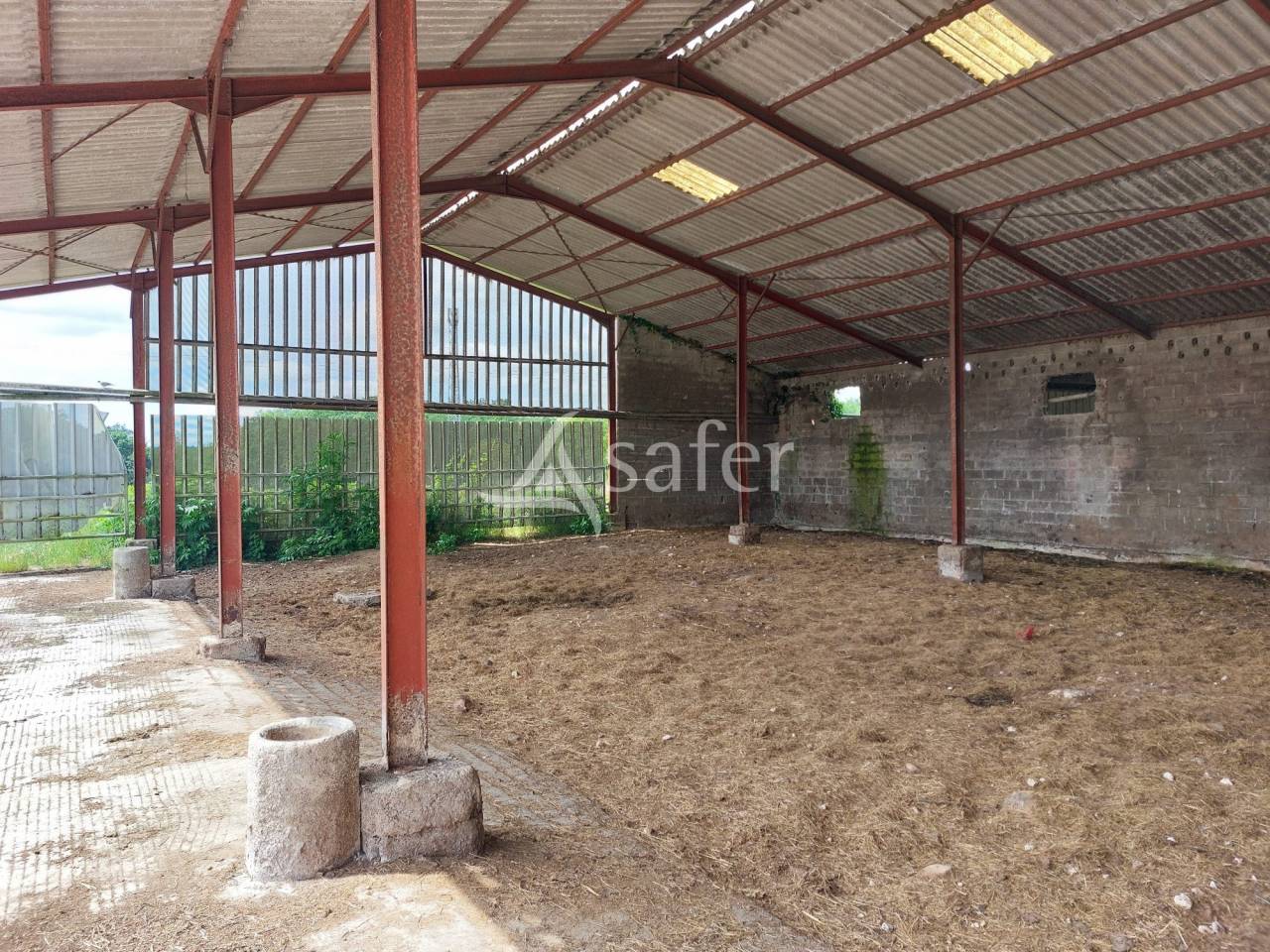 Sheep farm  Dordogne