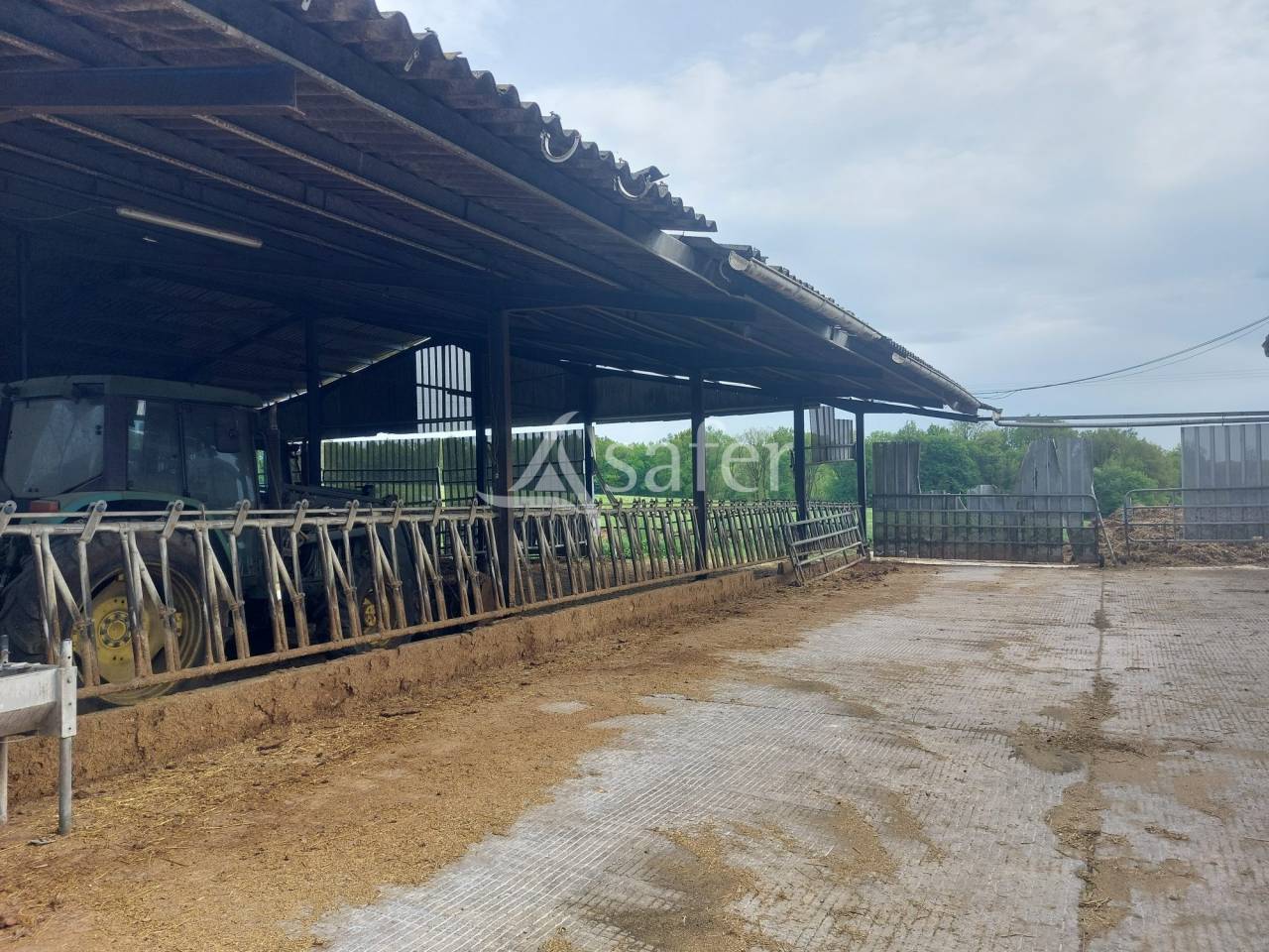 Sheep farm  Dordogne