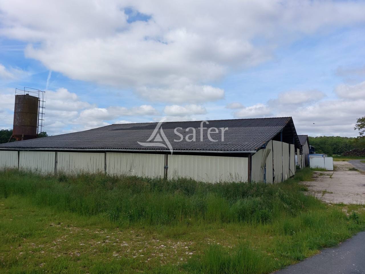 Sheep farm  Dordogne