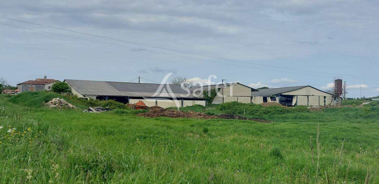 Sheep farm  Dordogne