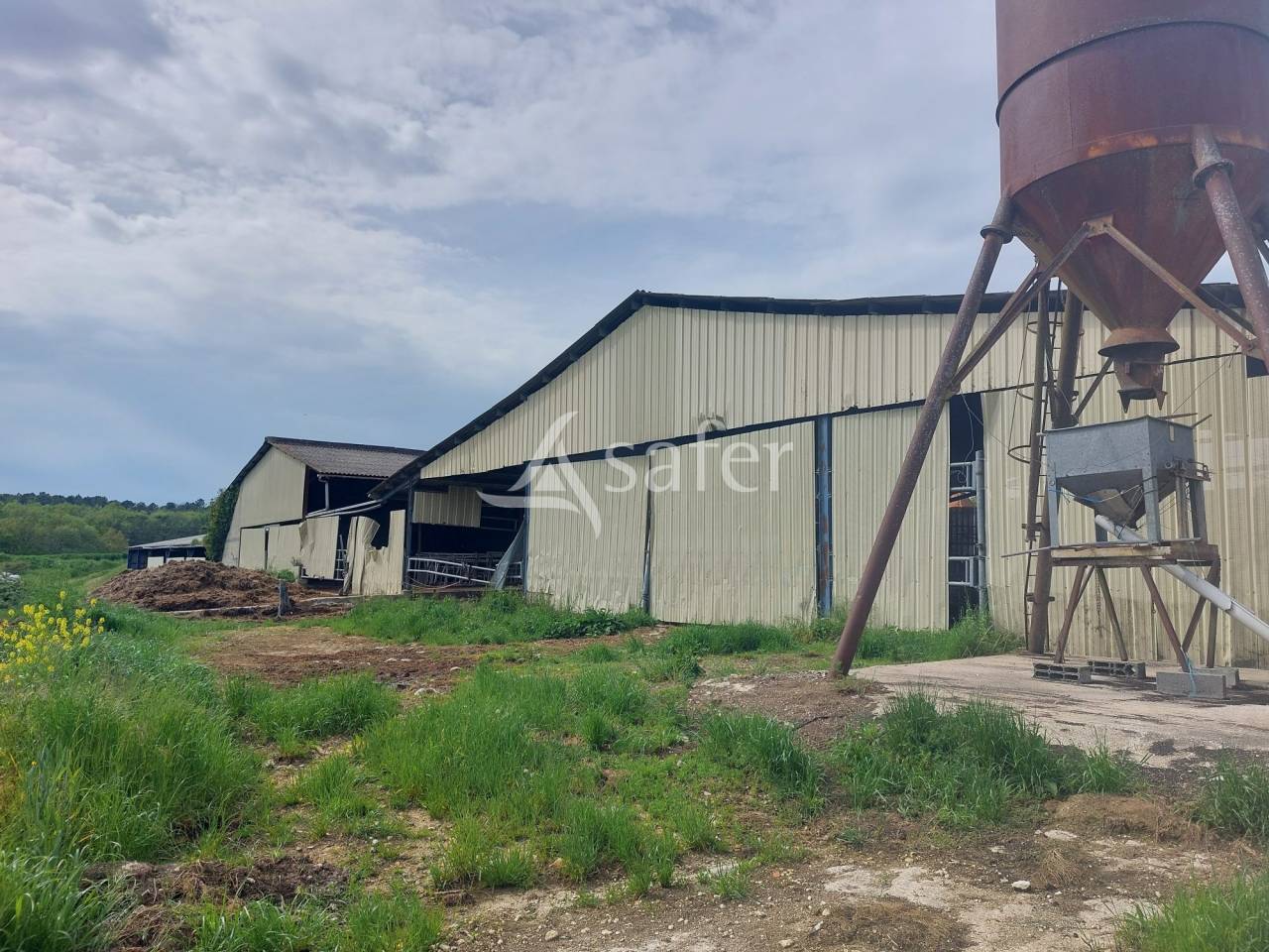Sheep farm  Dordogne