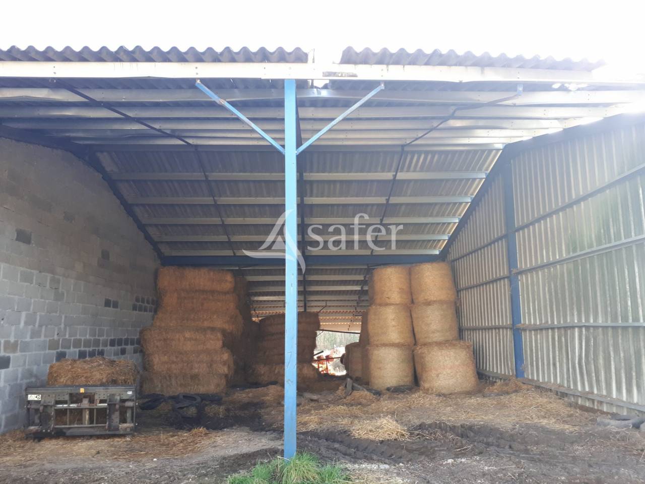 Sheep farm  Dordogne