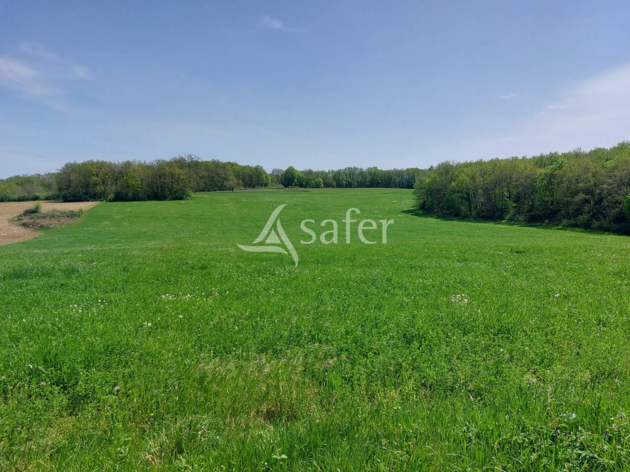 Sheep farm  Dordogne