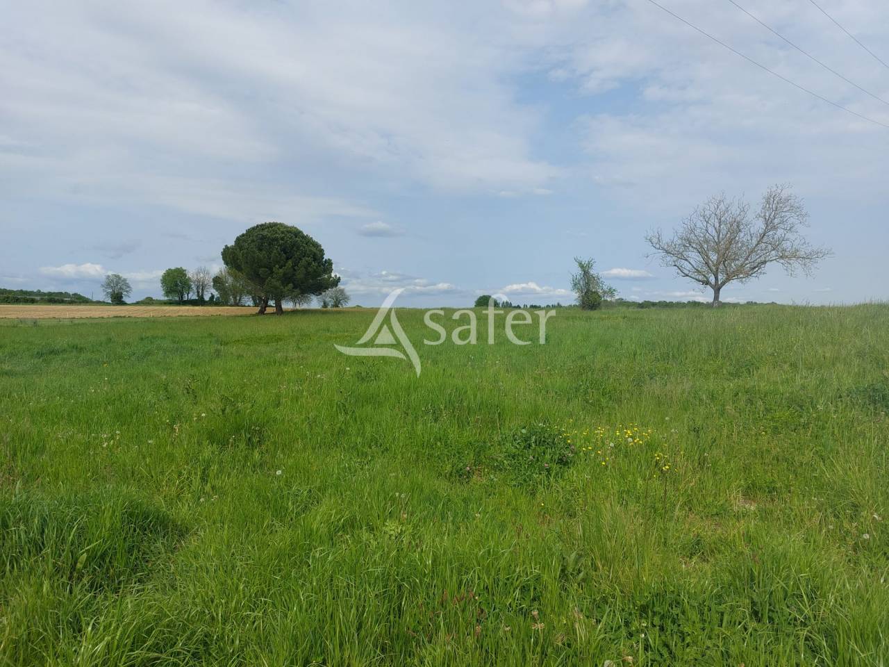 Sheep farm  Dordogne