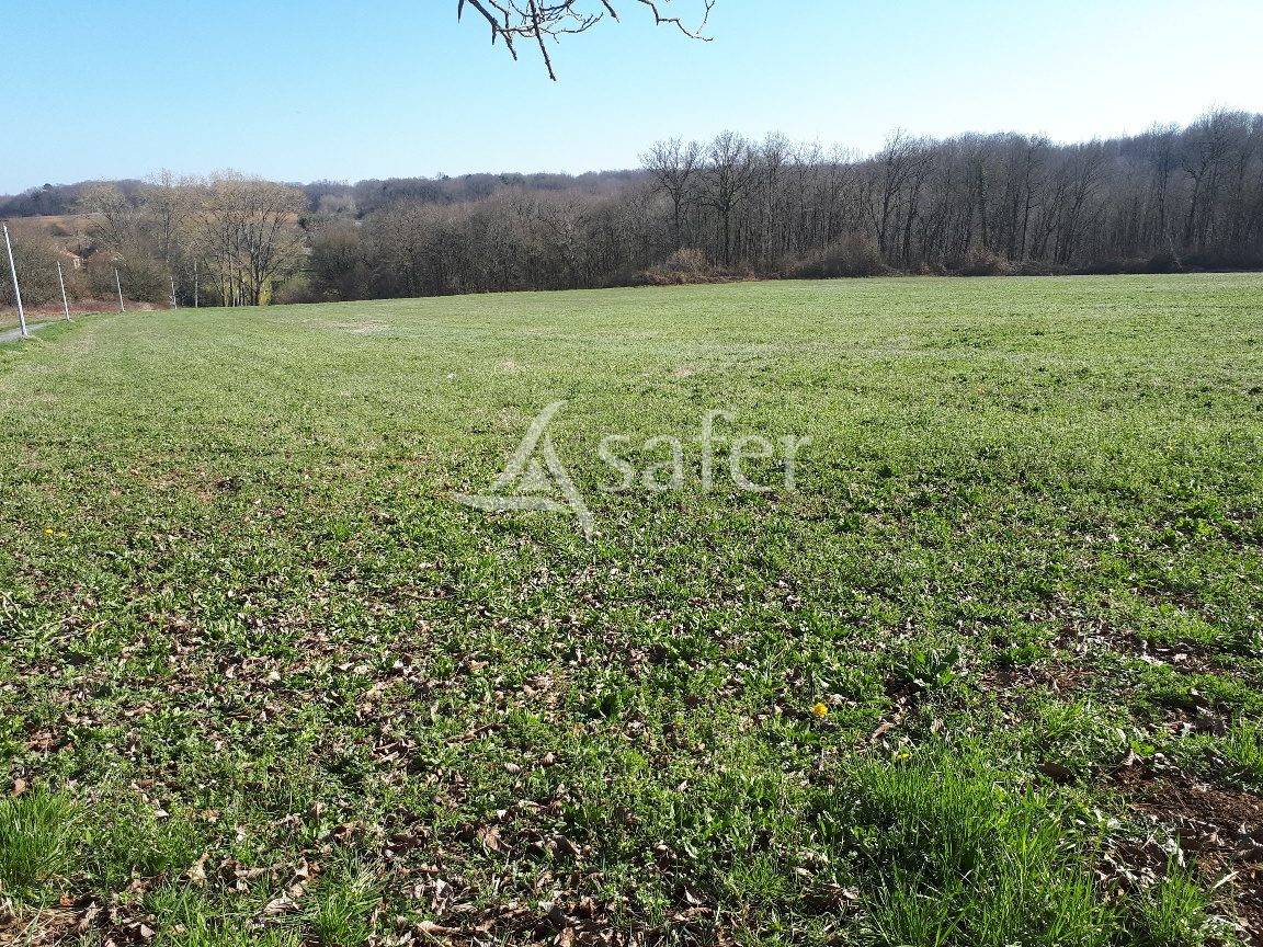 Sheep farm  Dordogne