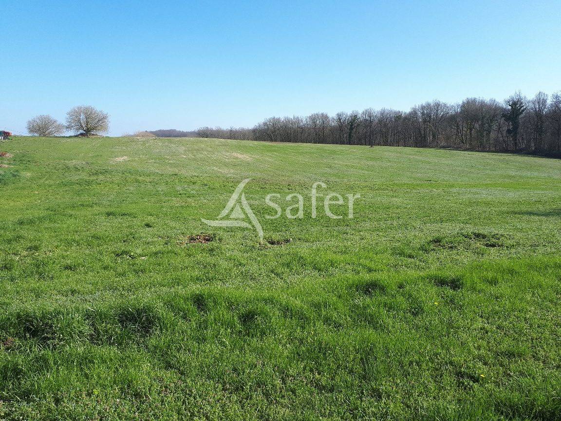 Sheep farm  Dordogne