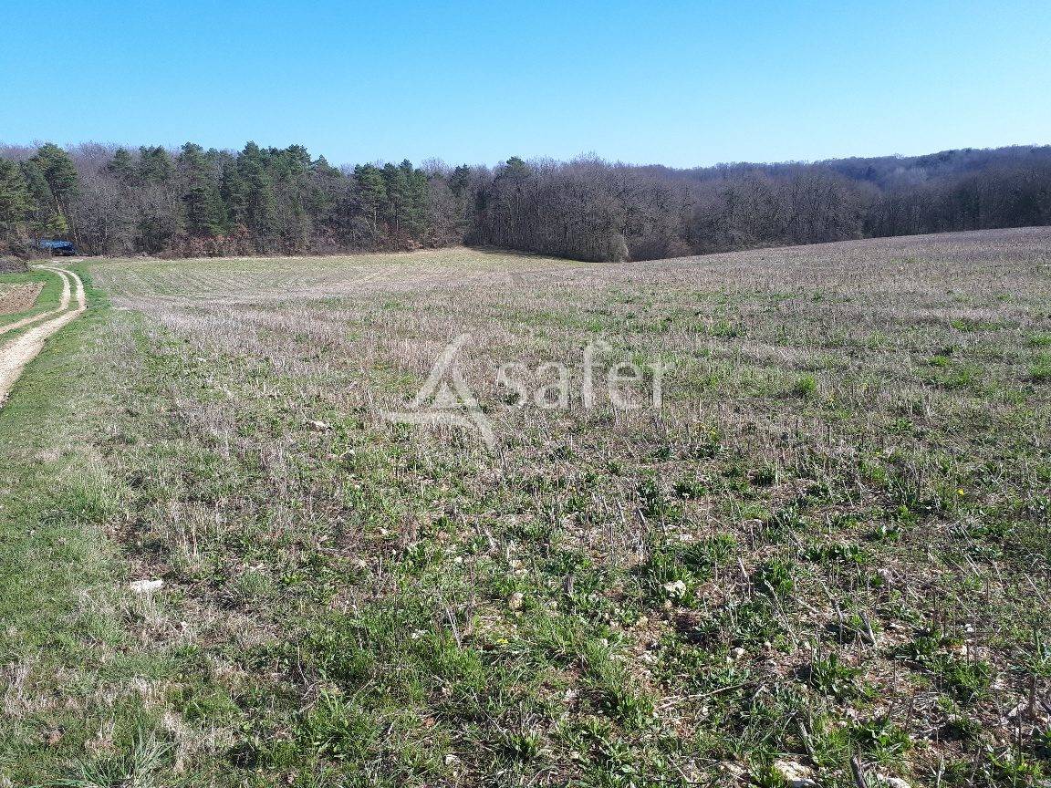 Sheep farm  Dordogne