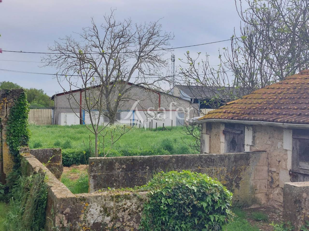 Sheep farm  Dordogne