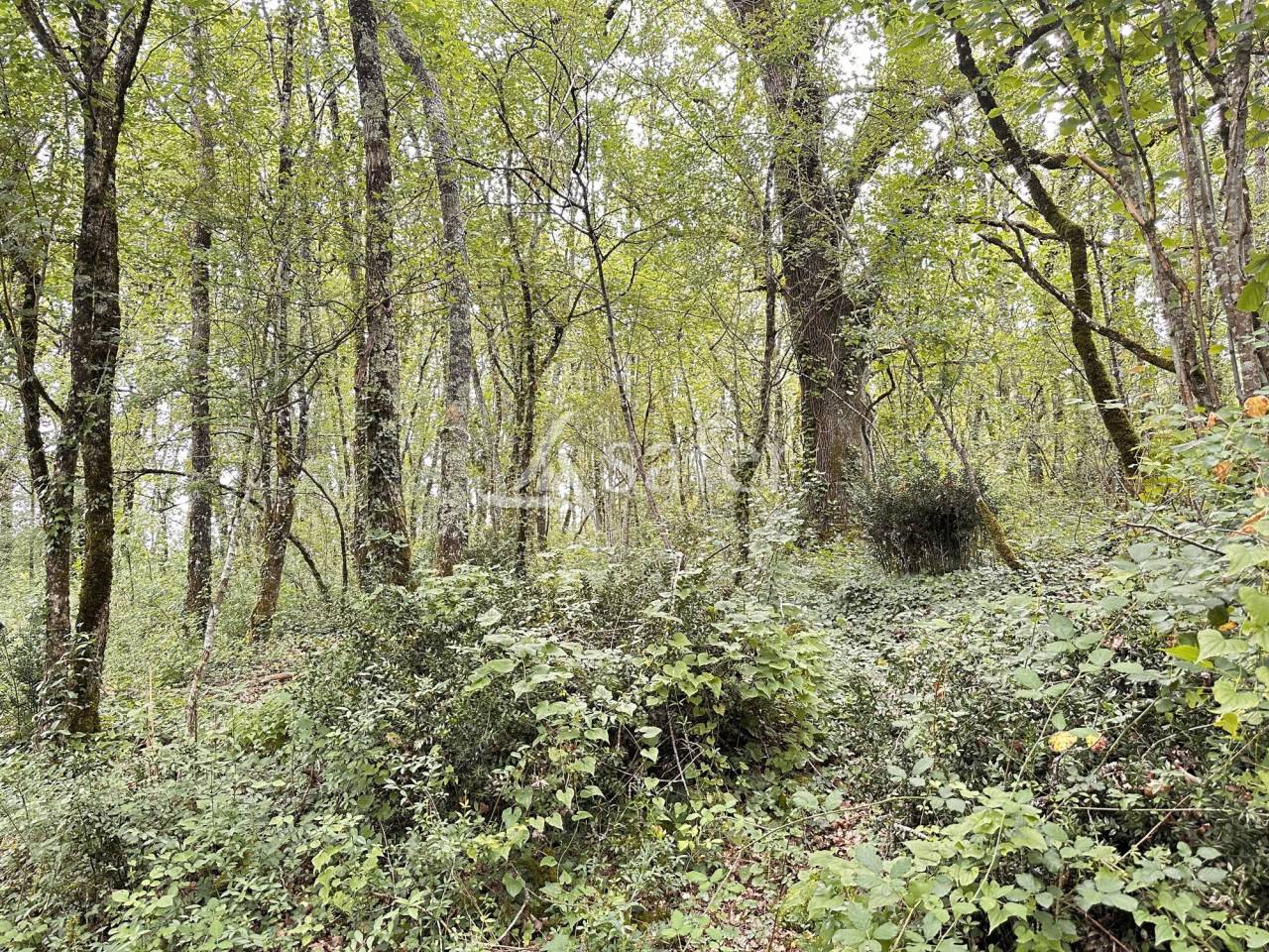 Other country property  Charente